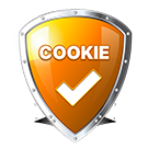 Політика використання файлів cookie  (aswegas.cookie) - рішення на Бітрікс