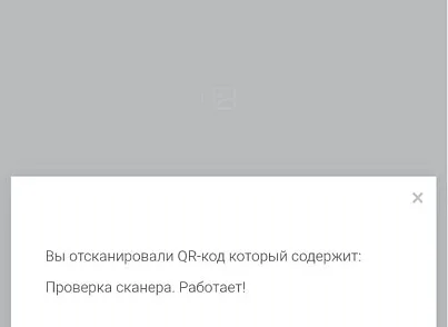 Сканер QR кодов с поддержкой callback (digimatix.qrscanner) - решение для Битрикс