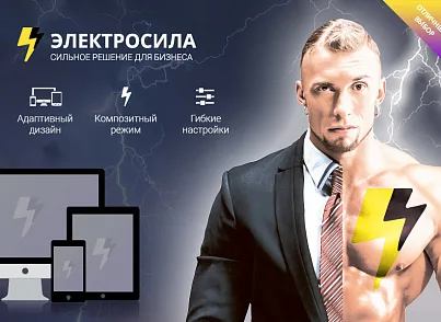 Интернет-магазин ЭЛЕКТРОСИЛА (altop.elektrosila) - решение для Битрикс