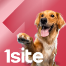 1Site.NKO - Сайт некомерційної організації, благодійного фонду (onesite.nko) - рішення на Бітрікс