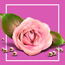 Florist: доставка квітів, подарунків, магазин квіти на Старті (webstudiosamovar.kodveri2) - рішення на Бітрікс