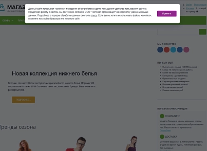 Согласие на использование cookie (delement.cookieconsent) - рішення на Бітрікс