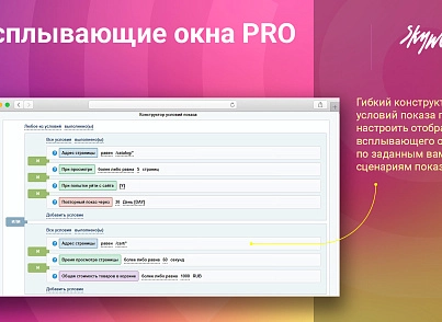 Спливаючі вікна PRO (skyweb24.popuppro) - рішення на Бітрікс