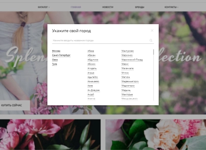 Pvgroup.Flower - Интернет магазин цветов и комнатных растений №60152 (pvgroup.60152) - рішення на Бітрікс