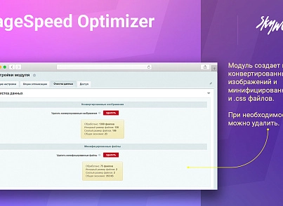 Google PageSpeed Optimizer (skyweb24.pagespeedoptimizer) - рішення на Бітрікс
