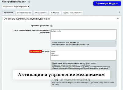 Ускоритель по Google Pagespeed (burlakastudio.speeder) - рішення на Бітрікс