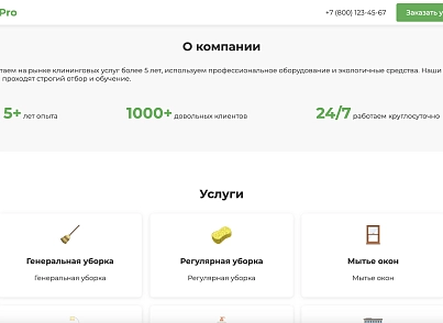 CleanPro (dsst.cleanpro) - рішення на Бітрікс