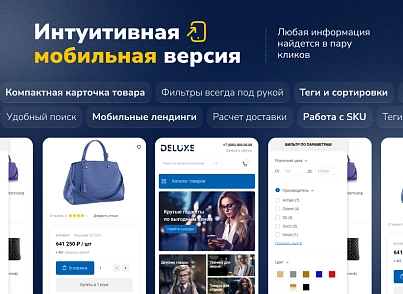 Deluxe - багатофункціональний інтернет-магазин 2 в 1 (dw.deluxe) - рішення на Бітрікс