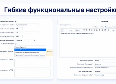 Согласие на использование cookie (delement.cookieconsent) - рішення на Бітрікс