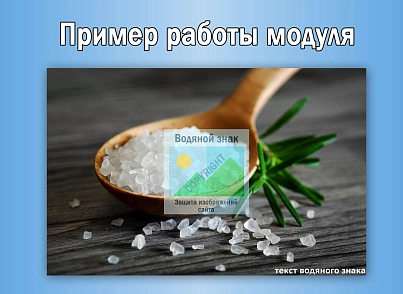 Водяной знак для инфоблоков 2.0. Защита изображений сайта (sl3w.watermark) - рішення на Бітрікс