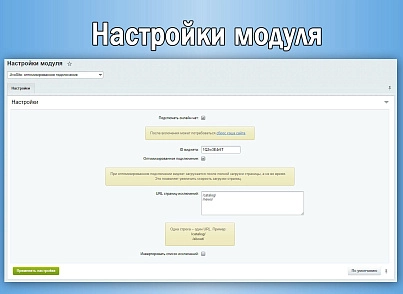 JivoSite: оптимизированное подключение под Google PageSpeed (sl3w.optimizedjivosite) - решение для Битрикс