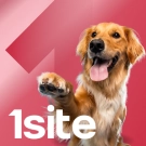 1Site.NKO - Сайт некомерційної організації, благодійного фонду (onesite.nko) - модуль для Бітрікс