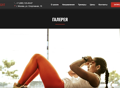 IronFight (dsst.ironfight) - рішення на Бітрікс