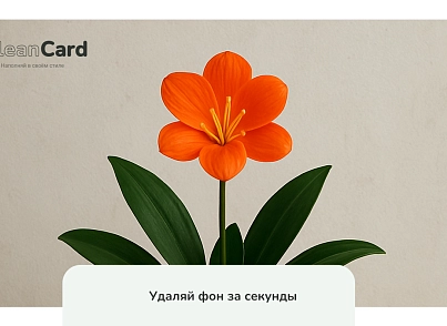 CleanCard — массовое автоудаление фона с изображений (mwi.cleancard) - решение для Битрикс