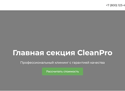 CleanPro (dsst.cleanpro) - рішення на Бітрікс