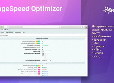 Google PageSpeed Optimizer (skyweb24.pagespeedoptimizer) - рішення на Бітрікс