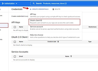 Dwstroy: Авторизация через Google (OAuth 2.0) (dwstroy.googleonetap) - рішення на Бітрікс