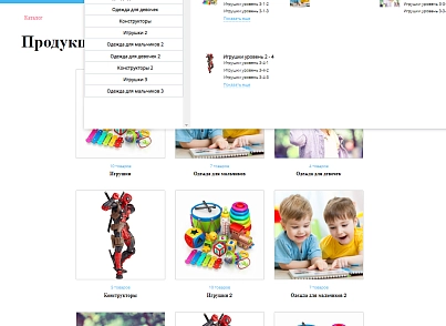 Pvgroup.Kids - Интернет магазин товаров для детей №60148 (pvgroup.60148) - рішення на Бітрікс